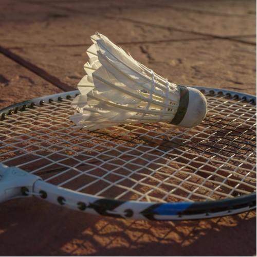 Badmintono kamuoliukai