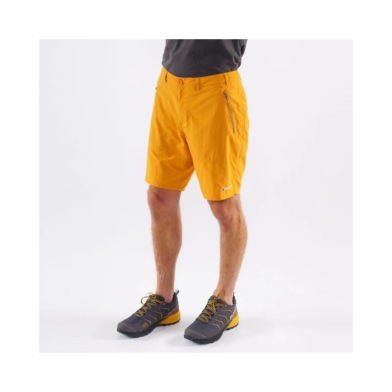 Vyriški šortai Montane Terra Shorts