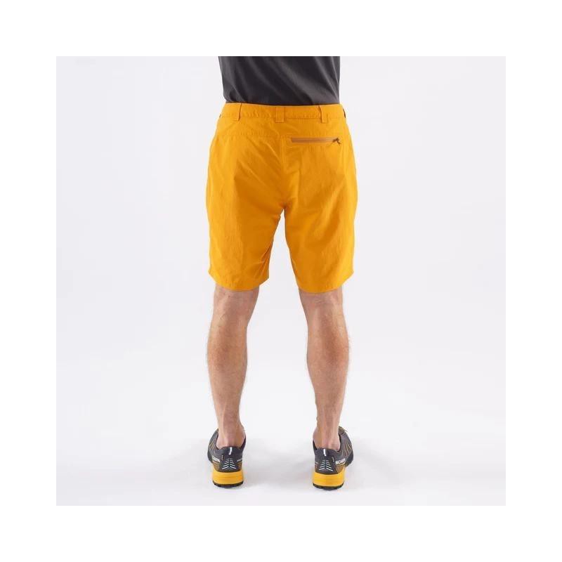 Vyriški šortai Montane Terra Shorts