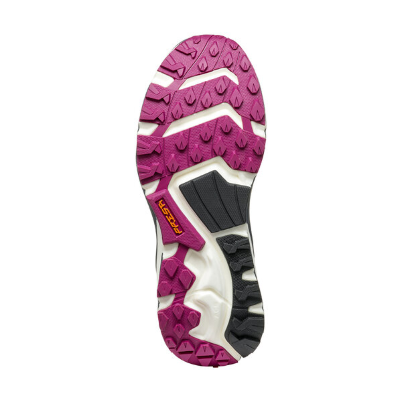 Bėgimo batai Scarpa Golden Gate ATR GTX WMN