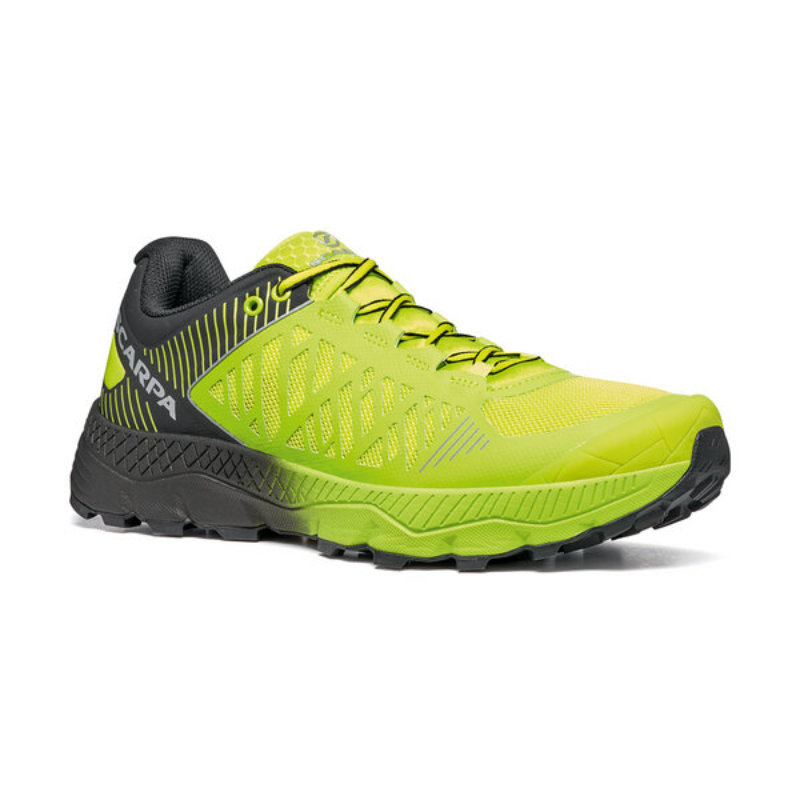 Bėgimo batai Scarpa Spin Ultra