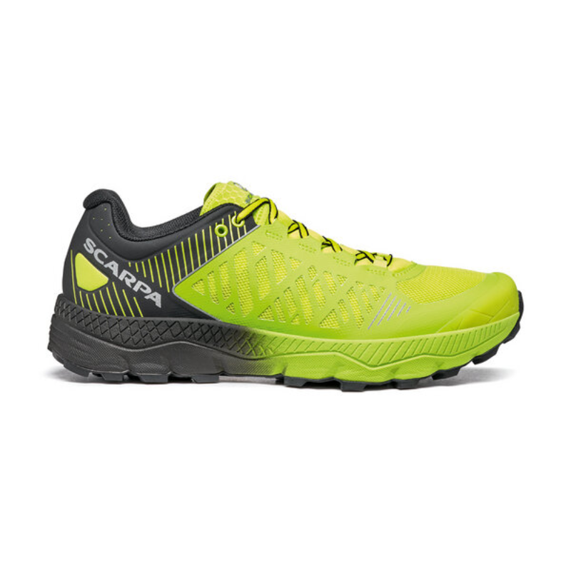 Bėgimo batai Scarpa Spin Ultra
