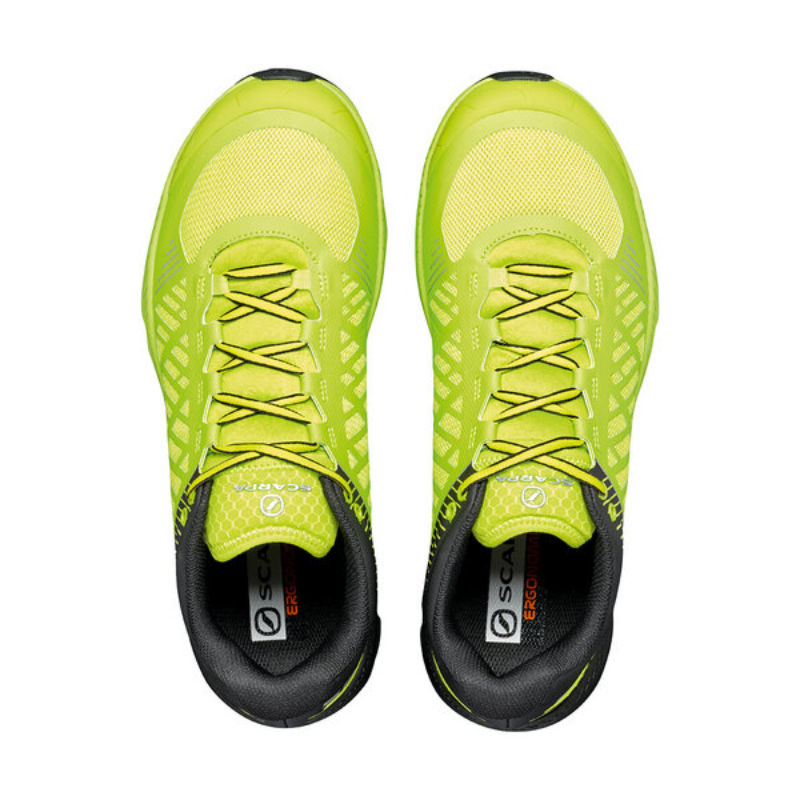 Bėgimo batai Scarpa Spin Ultra